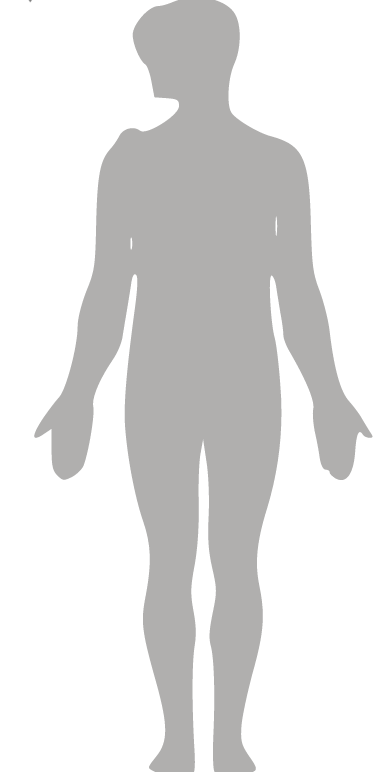 Compele Human body.PNG